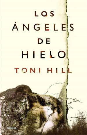 Book cover of Los ángeles de hielo
