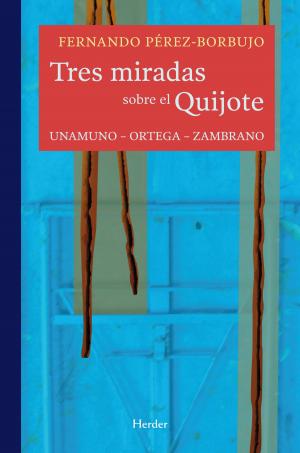 Cover of the book Tres miradas sobre el Quijote by Giorgio Nardone