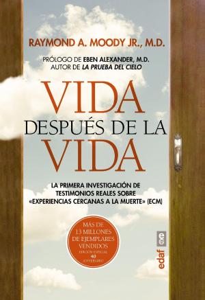 Book cover of Vida después de la vida. Edición 40 aniversario