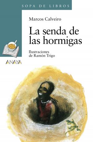 Cover of the book La senda de las hormigas by Ana Alonso, Javier Pelegrín