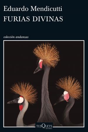 Cover of the book Furias divinas by Adela Pérez Lladó