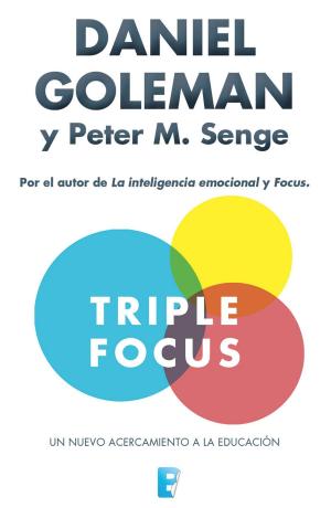 Cover of the book Triple Focus. Un nuevo acercamiento a la educación by David Baldacci