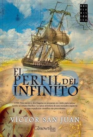 Cover of the book El perfil del infinito by Carlos Lázaro