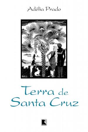 Cover of the book Terra de Santa Cruz by Rodrigo Constantino