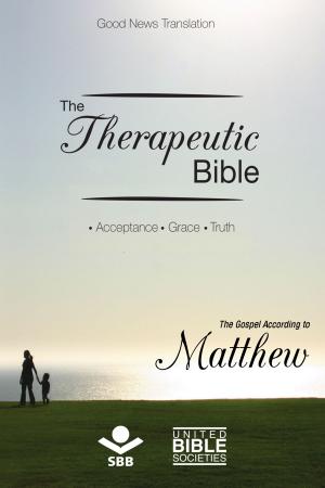 Cover of the book The Therapeutic Bible – The Gospel of Matthew by Bobbie Wolgemuth, Arno Bessel, Rui Gilberto Staats, Sociedade Bíblica do Brasil