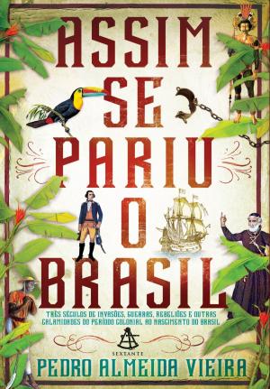 Cover of the book Assim se pariu o Brasil by Carol Rossetti