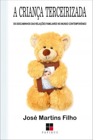 Cover of the book A Criança terceirizada by Edwiges Ferreira de Mattos Silvares