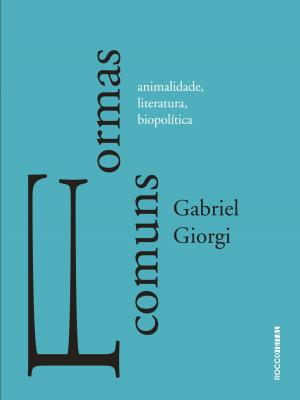 Cover of the book Formas comuns by Flavio Izhaki