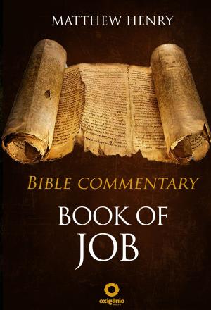 Book cover of Book of Job - Complete Bible Commentary Verse by Verse