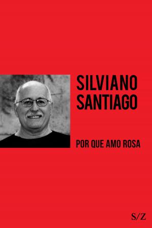 Cover of the book Por que amo Rosa by Leandro Sarmatz