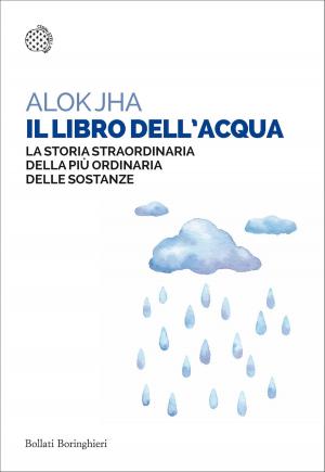 Cover of the book Il libro dell'acqua by Eric Lichtblau
