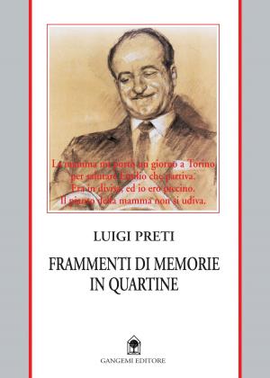 Cover of the book Frammenti di memorie in quartine by Arcangelo Mafrici