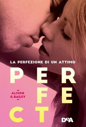 Book cover of Perfect