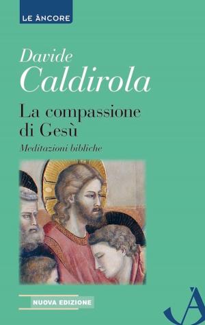 Cover of the book La compassione di Gesù by Roberto Allegri