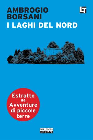 Cover of the book I laghi del nord by Pier Luigi Vercesi