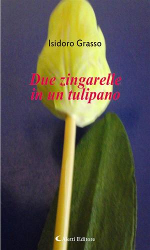 Cover of the book Due zingarelle in un tulipano by Piero Bonora