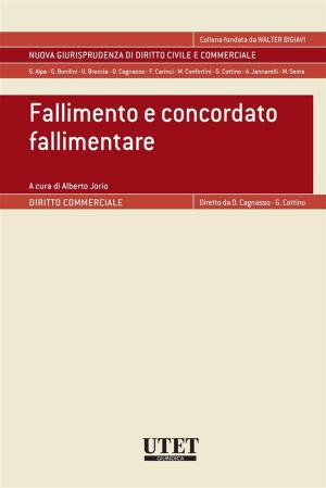 Cover of the book Fallimento e concordato fallimentare by Origene