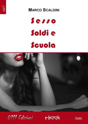 Cover of the book Sesso soldi e scuola by Andrea Lepri