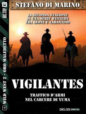 Cover of the book Vigilantes by Peter K. Andersson