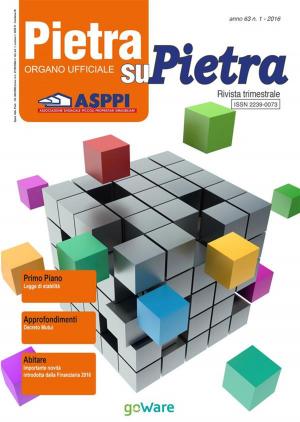 Cover of Pietra su Pietra - anno 63 n.1 2016
