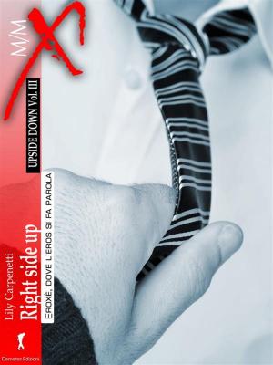 Cover of the book Right Side Up by Bunny Blu