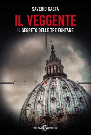 Cover of the book Il Veggente by Alfredo  Accatino