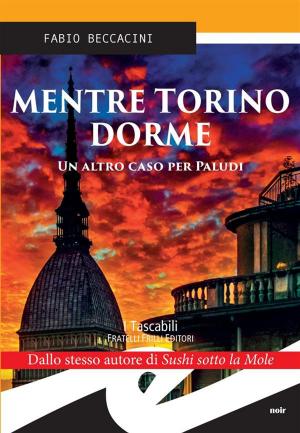 Cover of the book Mentre Torino dorme. Un altro caso per Paludi by Antonio Caron