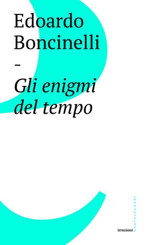 Cover of the book Gli enigmi del tempo by Adrian Piper, Paolo Martore