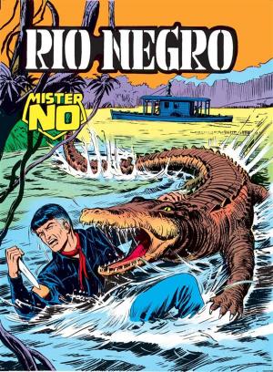 Cover of the book Mister No. Rio Negro by Guido Nolitta, Gallieno Ferri, Enzo Chiomenti