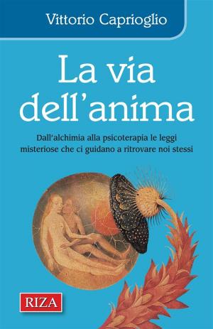 Book cover of La via dell'anima