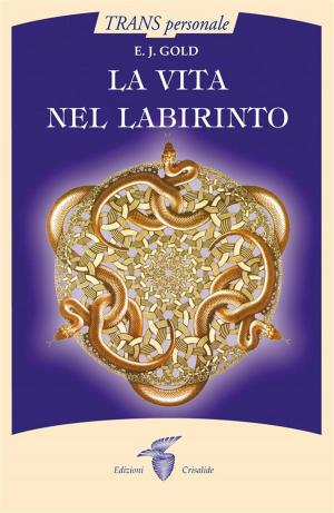 Cover of the book La vita nel labirinto by Sandra Ingerman