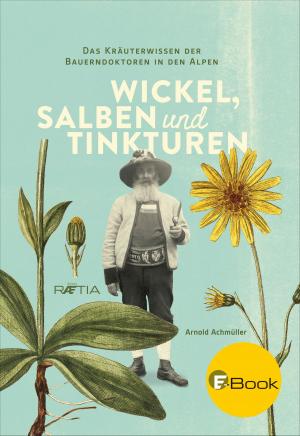 Cover of the book Wickel, Salben und Tinkturen by Franz Thaler, Günther Pallaver