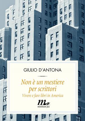 Cover of the book Non è un mestiere per scrittori. Vivere e fare libri in America by Massimo Carlotto, Luca D'Andrea, Maurizio de Giovanni