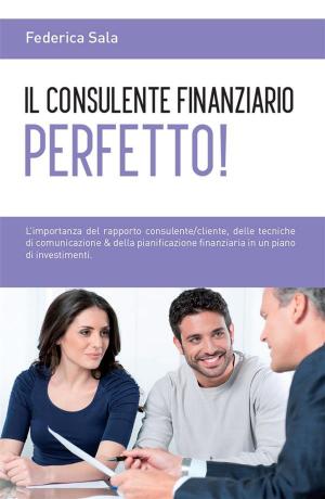 Book cover of Il consulente finanziario perfetto!