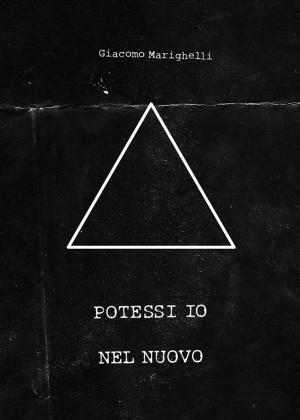 Cover of the book Potessi io Nel nuovo by Plan-B Theatre Company