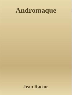 Cover of the book Andromaque by Cristina-Monica Moldoveanu