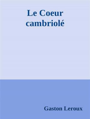 Cover of the book Le Coeur cambriolé by Stephan Michael Loy