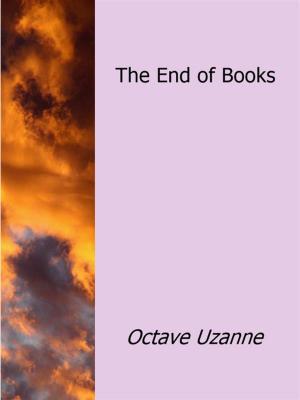 Cover of the book The End of Books by Victoria Rollison