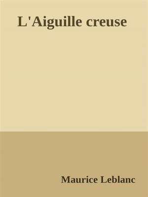 Cover of the book L'Aiguille creuse by Riley Russell