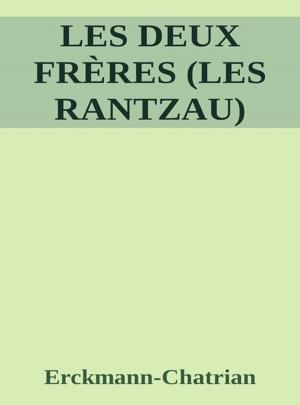 Book cover of Les deux frères (Les Rantzau)