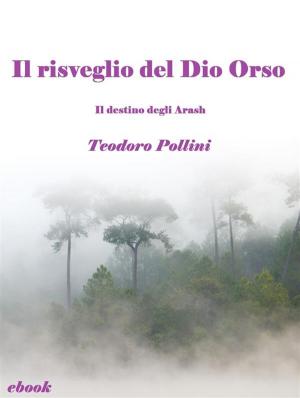 Book cover of Il risveglio del Dio Orso (Il destino degli Arash Vol.2)