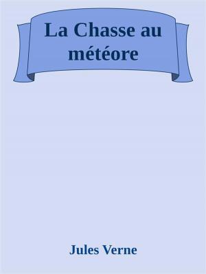 Book cover of La Chasse au météore