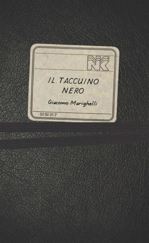 Cover of the book Il taccuino nero by Anna Piediscalzi