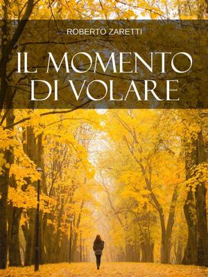 bigCover of the book Il Momento di Volare by 