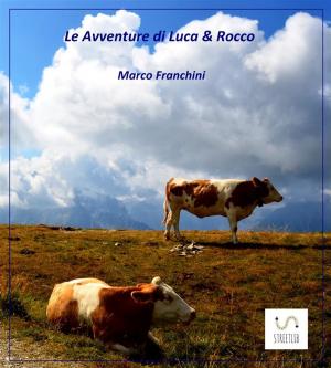 Cover of Le Avventure di Luca e Rocco