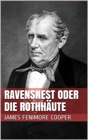 Book cover of Ravensnest oder die Rothhäute