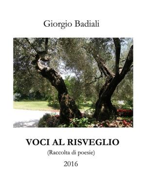 Cover of the book Voci al risveglio by Luciano José