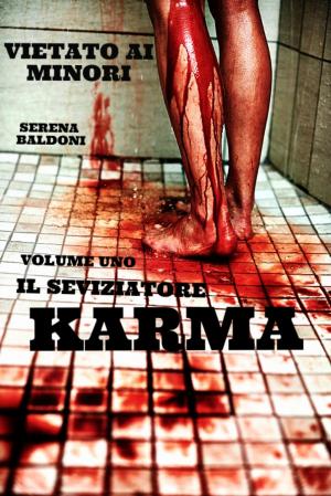 Book cover of KARMA .Il Seviziatore Vol.1