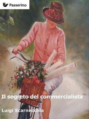 Cover of the book Il segreto del commercialista by Platone