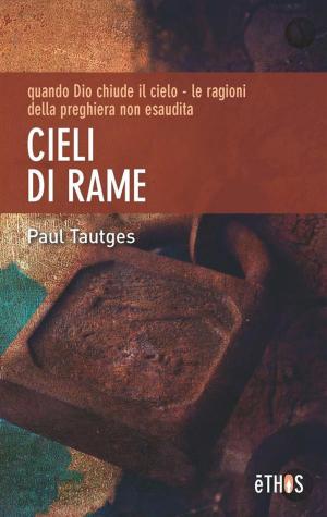 Cover of the book Cieli di Rame by RuzaneT